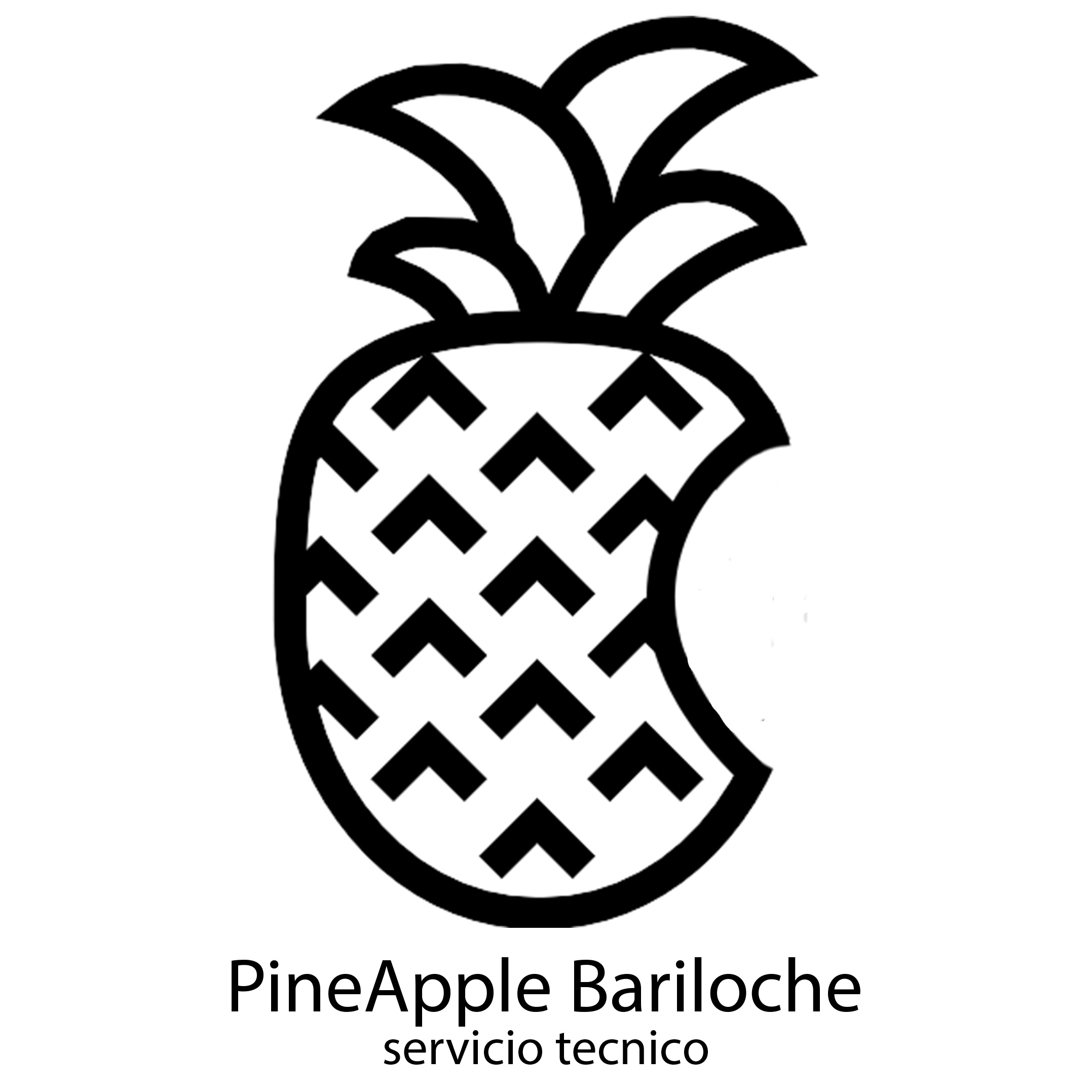 pineaple%20portadagrande